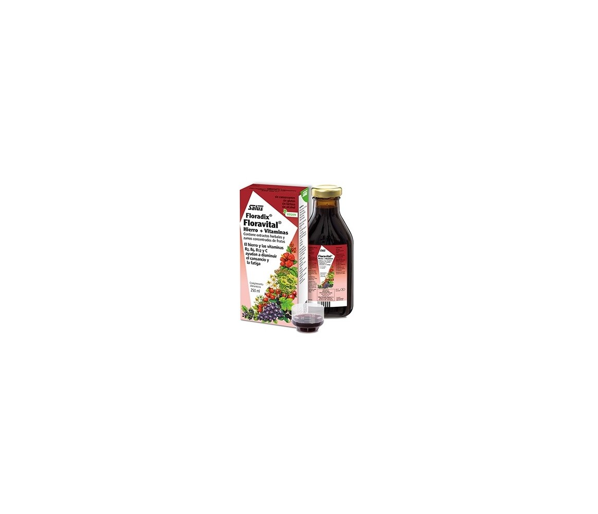 Salus Floradix Floravital Hierro  Vitaminas 250