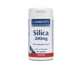 Lamberts Silicio 200 mg 90 cápsulas
