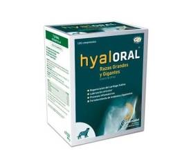 HYALORAL RAZAS GDES 120 COMP(VET)