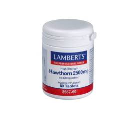 LAMBERTS ESPINO BLANCO (HAWTHORN) 60 TAB